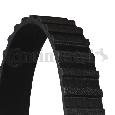 Timing Belt